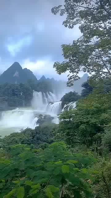 探秘吉鹿力问答社区,解锁那小龙虾可以喂黄瓜吗?的奇幻世界!